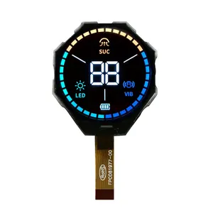 Positive negative kleine mittlere Bildschirm monochroma tische Digitaluhr Segment LCD-Displays