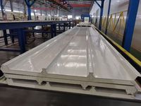 Panneaux sandwich en PU/polyuréthane pour l'isolation des structures, panneaux sandwich pour les murs intérieurs, les murs extérieurs et les toitures