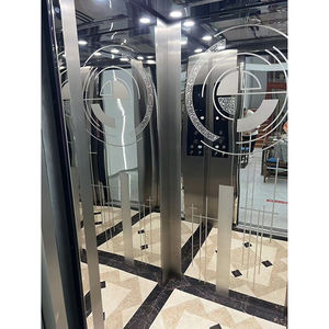 Ascensor Residencial de 2-3 Pisos, 300 kg, con Certificado CE, en Venta - Product Image 4