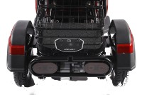 Tricycle électrique 3 places avec moteur arrière 1000W 48V/60V, cadre en aluminium et acier et 3 roues pour le transport d'animaux