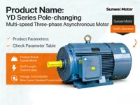 YD-Serie 380V Zweistufiger Variabler Polmotor YD8/6-200-250 12/17kW Hochleistungs-Werkzeugmaschinen-Lüftermotor 50/60HZ 100% Kupfer