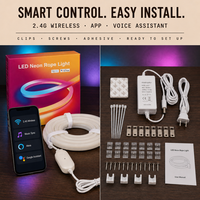 Ruban lumineux néon RGBIC moderne 5M en silicone, synchronisation musicale, contrôle APP 2.4G, compatible Alexa et Google Assistant, éclairage uniforme, décoration intérieure créative