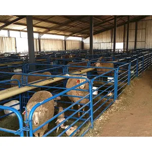 Chine structure en acier préfabriquée à faible coût ferme de chèvres abri de moutons maison