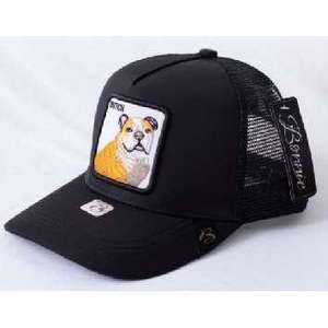 Gorra Trucker Pipkin de 6 Paneles, Malla Ajustable, Unisex, Casual, Bordada, para Adultos - Product Image 1