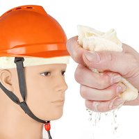 Nouveau Bandeau de Protection Frontale Professionnel Original pour Casque de Sécurité, en Maille Absorbante Anti-Friction, à Fixation Rapide, pour la Construction et le Travail
