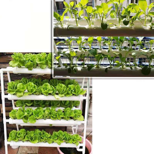 Wasserkultursystem mit 72 Löchern Kits, vertikale Wasserkultur-PVC-Pippe-Anlage Gemüse mit 12 V Wassertompe - Product Image 3
