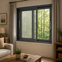 Fenêtres coulissantes en alliage d'aluminium anti-vent avec déflecteur intégré, isolation thermique, certifiées Energy Star pour salle de bain et hôtel