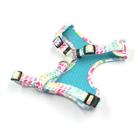 Harnais de marche pour chien avec collier et laisse, motif cœur imprimé, design mignon, sans traction, pour chiot, petit chien, chat