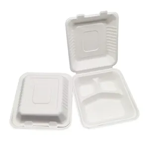 Wholesale Biodegradable Bagasse Clamshell Food Box Takeaway Paper Lunch Box