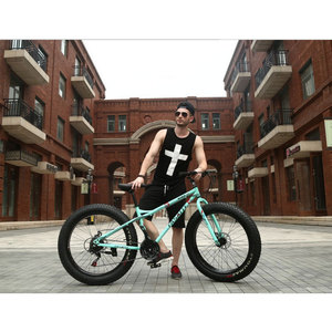 Vélo de montagne adulte à cadre rigide, suspension souple, pneus larges 26*4.0 pour la plage et la neige, en acier carbone, 10 vitesses, freins à disque - Product Image 1