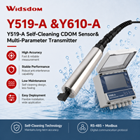 Transmitter Multi Parameter Y610-A Sensor CDOM Pembersih Diri Y519-A dengan Monitor Online RS485 untuk Inspeksi Kualitas Air Sungai