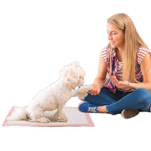 Biodegradable Disposable Pee Pads <b>for</b> Pets Pet Pads Disposable with Organic Cotton and Bamboo Full Core and Hot-air Fabric pink - Product Image 6