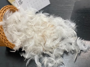 <span class=keywords><strong>Plumas</strong></span> de Pato Blancas Lavadas de Alta Calidad, Precio de Fábrica, Alto Poder de Relleno - Product Image 3