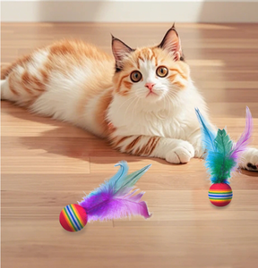 Tüy kedi oyuncak Pet ürünleri ile EVA köpük topu kedi gökkuşağı tüy topu oyuncak - Product Image 1