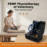 Appareil de stimulation magnétique pratique pour la relaxation musculaire, machine de massage PEMF pour animaux, formation gratuite, pour clinique vétérinaire