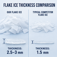 Machines à glace en flocons personnalisées, automatiques, en acier inoxydable, haute efficacité, équipement pour la chaîne du froid des produits aquatiques