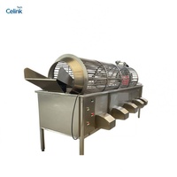 Automatische sorteer-, was- en waslijn voor fruit en groenten met grote capaciteit, roltype