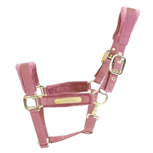 Harnais pour cheval en polaire épaisse de haute qualité, entièrement rembourré, protection douce, sangle réglable, équipement équestre, harnais pour cheval - Product Image 1