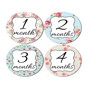 ¡Póngase en contacto con el proveedor chatear ahora! Hito pegatinas bebé hito - Product Image 5