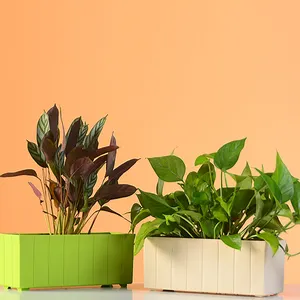 塑料花盆室内现代装饰塑料花盆，用于植物，带排水孔和托盘，适用于所有室内植物。