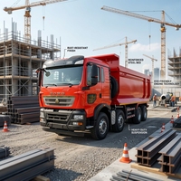 Camion benne lourd HOWO 371 de Chine, Euro 3 Diesel, 8x4, 10 pneus, capacité de charge 31-40T, conduite à gauche, neuf