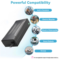 Chargeur de batterie pour vélo électrique à gros pneus C200 48V AC/DC ignifuge, batteries au lithium 12,5 Ah 4A