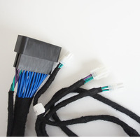 Kabel Kontrol Perakitan Kabel Harness Mobil Elektronik Shanyou yang Dapat Disesuaikan, Adaptor Konduktor Aluminium, Isolasi Nilon, 100mm, 12V
