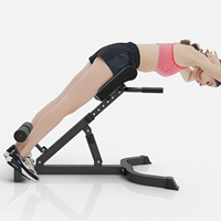 Renforcez et stabilisez la chaise romaine réglable Chaise romaine Banc hyperextension pour usage domestique