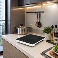 Vente en gros de cuisinière à induction portable 2000W, 8 modes de cuisson, plaque de cuisson électrique 220V pour l'Asie du Sud-Est