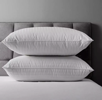 Oreillers de qualité hôtelière, lot de 2, oreillers de lit doux et confortables, oreillers en peluche anti-allergiques