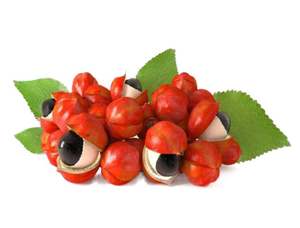 Pasokan <span class=keywords><strong>Guarana</strong></span> ekstrak 20% larut dalam air <span class=keywords><strong>Guarana</strong></span> bubuk terkonsentrasi kualitas makanan <span class=keywords><strong>Guarana</strong></span> ekstrak bubuk - Product Image 4