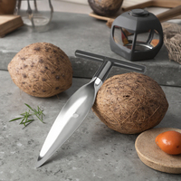 Ouvre-Noix de Coco Portable Pratique en Acier Inoxydable pour Coconuts Jeunes