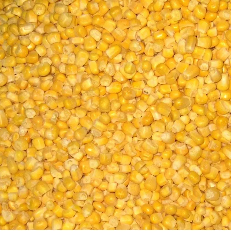 Heißer Verkauf BRC zertifiziert gute Qualität gefrorener Zucker mais kern zum Verkauf