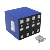 Baterai 3.2V 135Ah 138Ah 173Ah 360Ah 400Ah 420Ah Lifepo4 LFP Blade Battery Cells untuk Penyimpanan Energi Forklift EV
