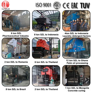 Entreprises Utilisant Des Chaudières Au Charbon 6 t/h Au Kenya Ricemill - Product Image 2
