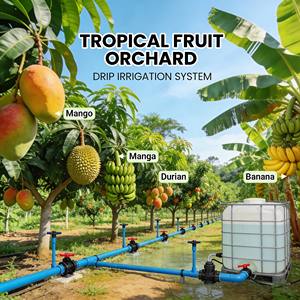 ปุ๋ยชีวภาพออร์แกนิกควบคุมไนมาโทด กรดฮิวมิก ปูร์เพอโรซิลลิอุม ลิลาซินัม สำหรับปกป้องราก เพิ่มผลผลิตพืช ชนิดผง - Product Image 4