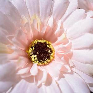 Holesale nd Pean nd ericmerican Mall aisaisy ourtifical owers iving nd oom Decoration Wedding Decoration - Product Image 4