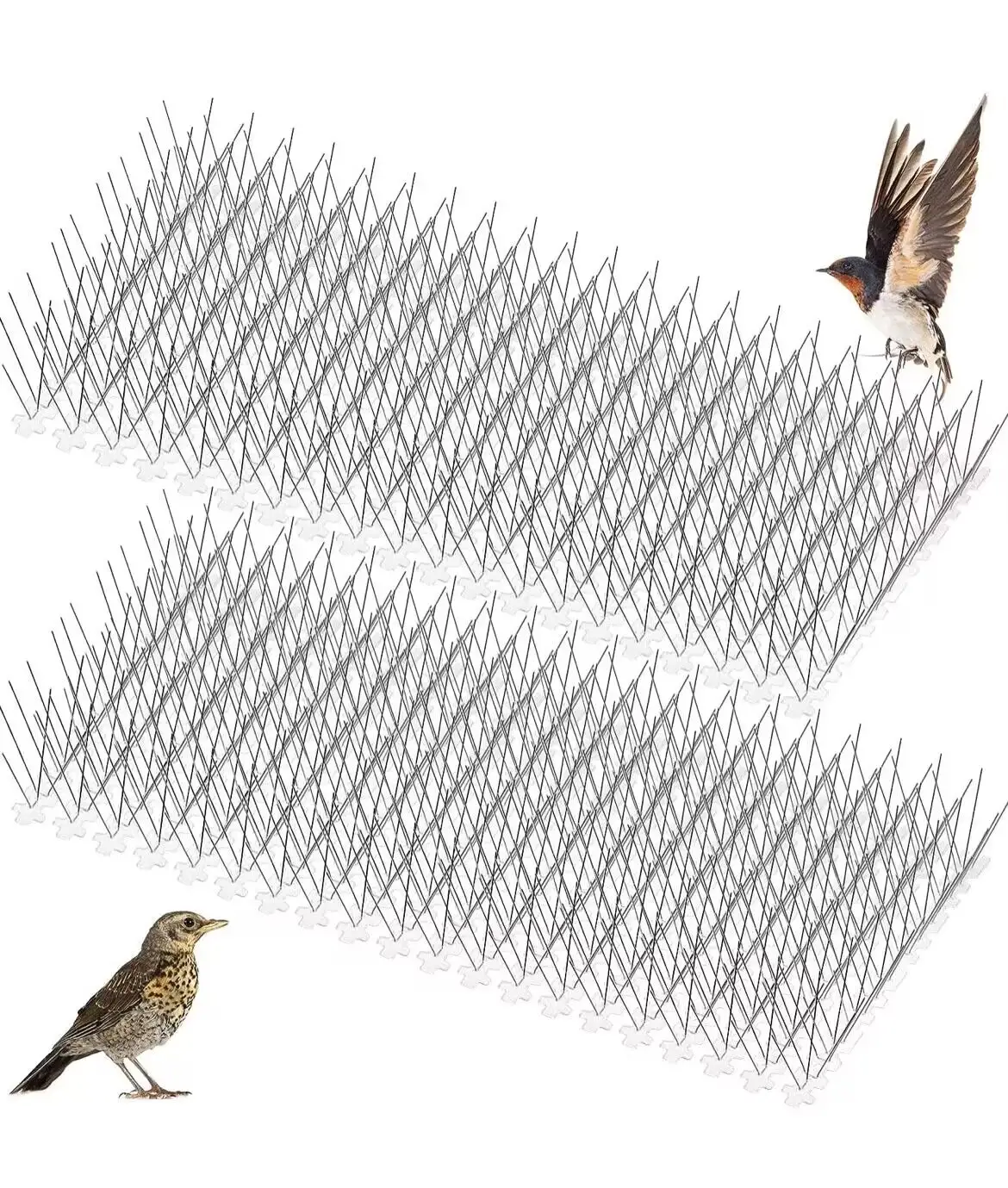 The Bird Control Spikes No Killing Anti Bird Stainless Steel Bird Repellent Spikes Durable Pigeon Repellent spikes