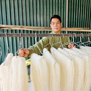 Vente directe d'usine, vermicelles de riz vert, nouilles de riz séchées, sans additif, nourriture saine, 300gr, Vietnam, en sachet - Product Image 5