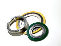 Joint spiralé SS316 rempli de graphite, type ASME B16.20, pour bride, haute température industrielle