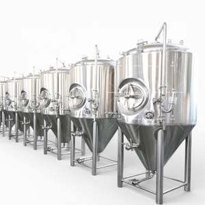 Equipo de Cervecería Artesanal, Fermentador de 5Bbl, al Mejor Precio - Product Image 3