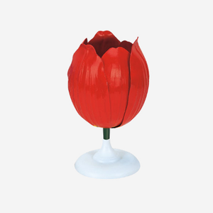 Gelsonlab HSBM-442 geografía instrumento plantas transpiración experimento demostrador - Product Image 6