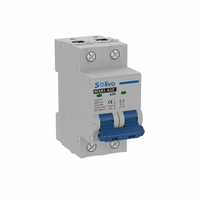 Interruptor Miniatura DC Retardante de Llama Solivo 2P 16A 500V DC CE para Sistemas de Energía Solar Fotovoltaica y de Corriente Continua