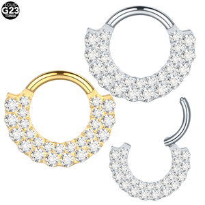 Fábrica de cristal forrado esclavo segmento aro oro anillo oreja hélice cuerpo Piercings joyería tabique anillo tabique Piercing nariz anillo - Product Image 4