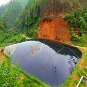 एक्वाकल्चर मछली पालन बांध और तालाब के लिए वाणिज्यिक 0.5 मिमी एचडीपे जियोम्ब्रन लाइनर - Product Image 4