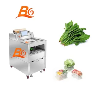 Fully Automatic Fresh Fruit And Frozen Fruit Labelling Vegetable Packaging Machine