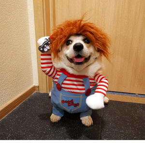 2023热卖拿着刀搞笑服装狗角色扮演派对万圣节圣诞服装