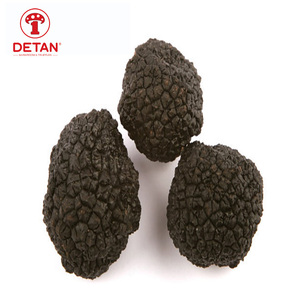 Detan Venta al por mayor Trufa fresca Trufa China salvaje fresca de setas negras - Product Image 4