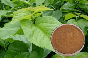 Mulberry Leaf Extract | DNJ 1% to 98% | Total Flavonoids 20% to 98% | Metabolic Wellness Support | Customizable Bulk Extract - Product Image 2
