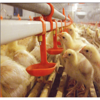 Ligne d'alimentation pour poulailler, mangeoires pour poulets de chair